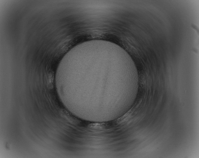 X0000091940082200710031125