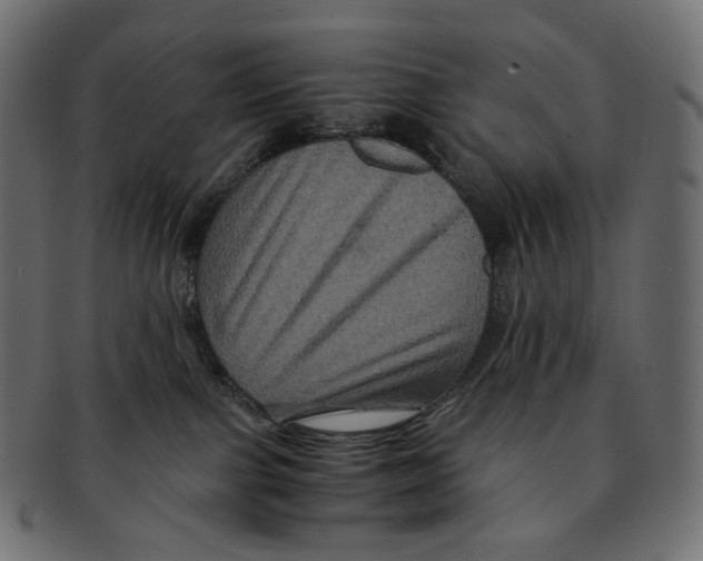 X0000091940091200710031125