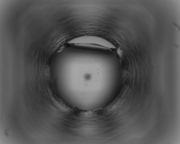 X0000091940092200710031125