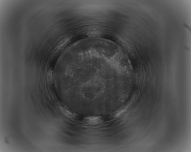 X0000091940093200710031125