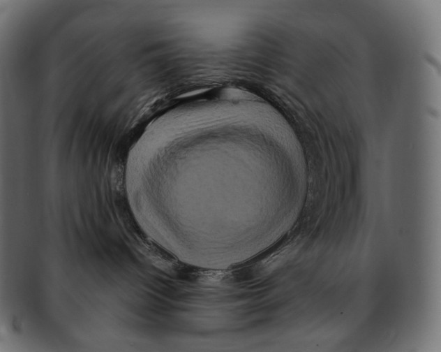 X0000091940096200710031125