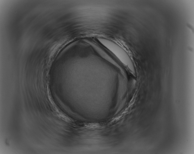 X0000091940097200710031125