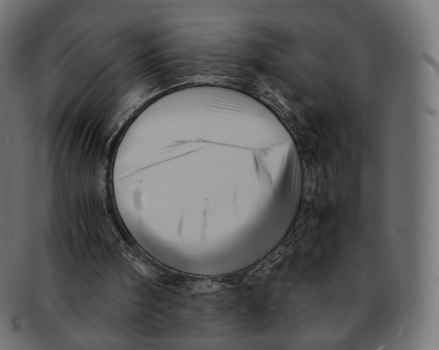 X0000091940098200710031125