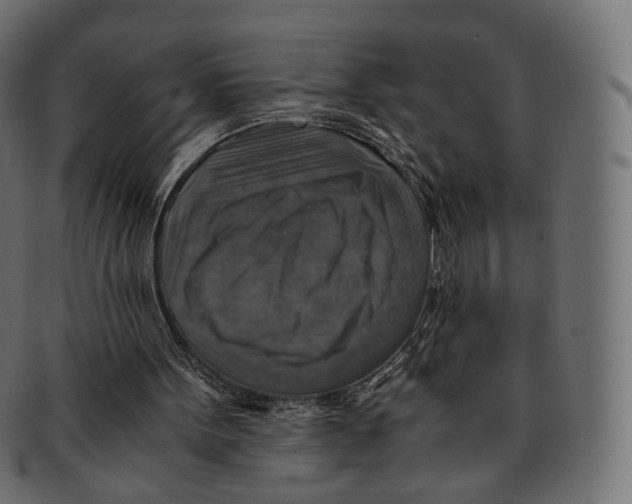 X0000091940099200710031125