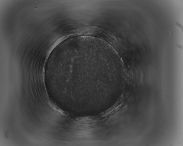 X0000091940100200710031125