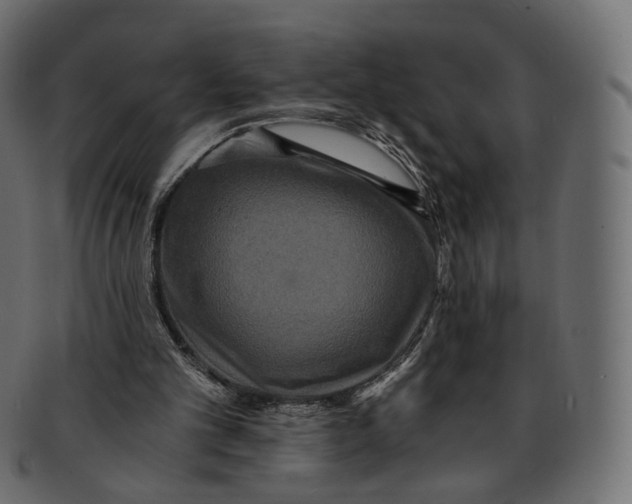 X0000091940101200710031125