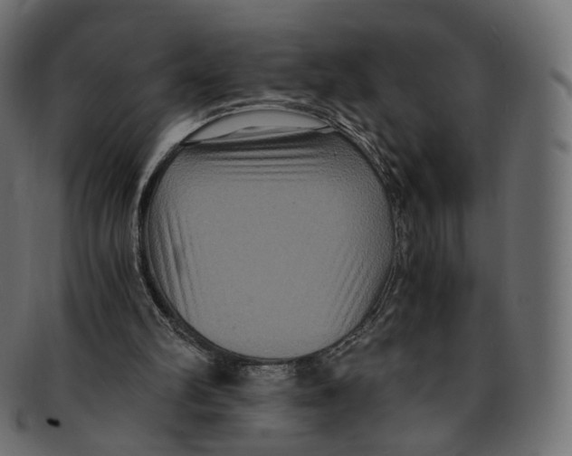 X0000091940102200710031125