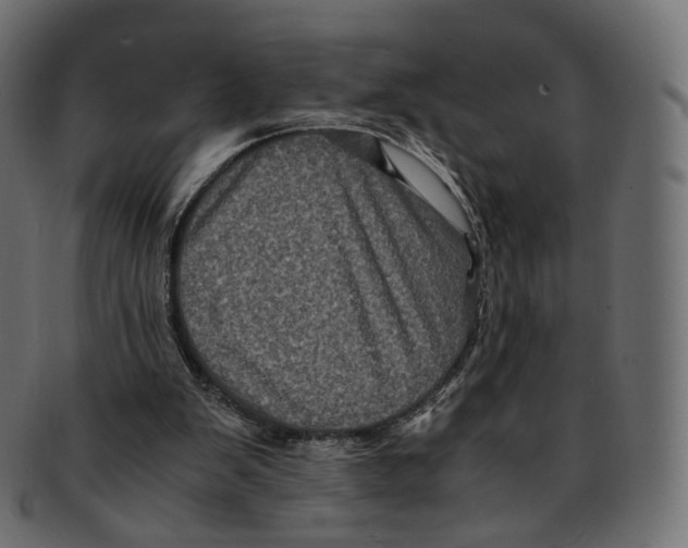 X0000091940103200710031125