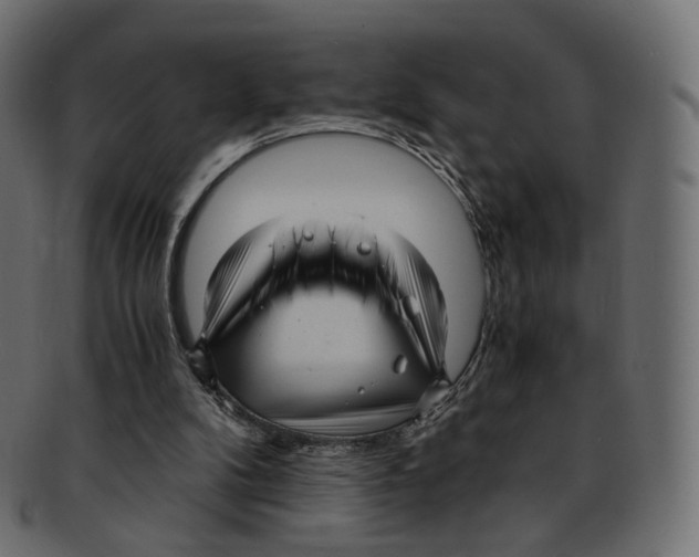 X0000091940104200710031125