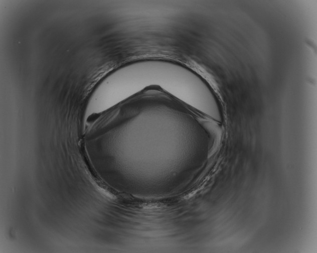 X0000091940105200710031125