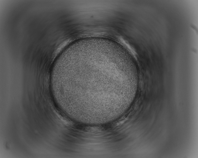 X0000091940107200710031125