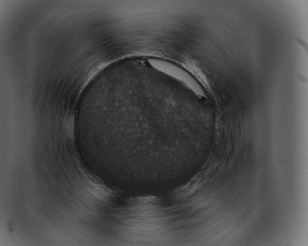 X0000091940108200710031125