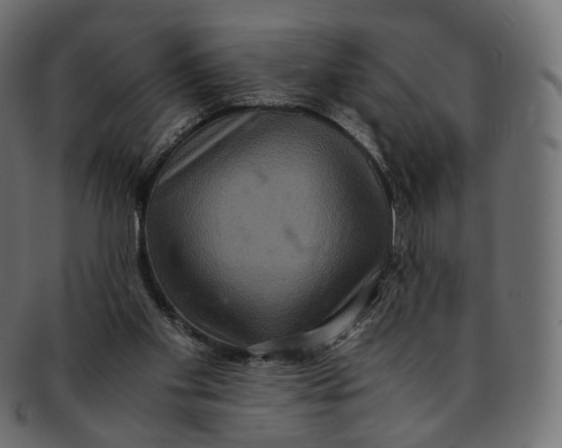 X0000091940109200710031125