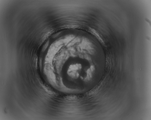 X0000091940110200710031125