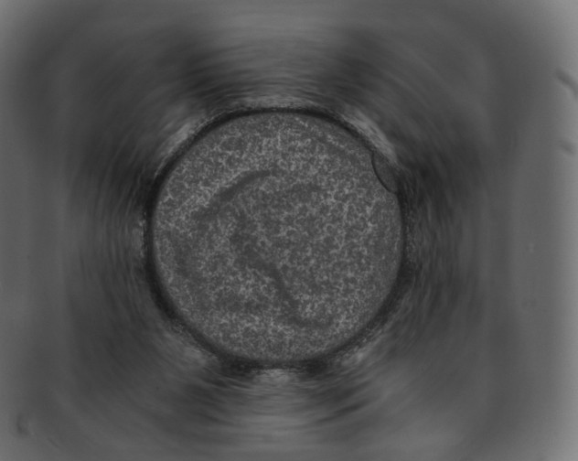 X0000091940111200710031125