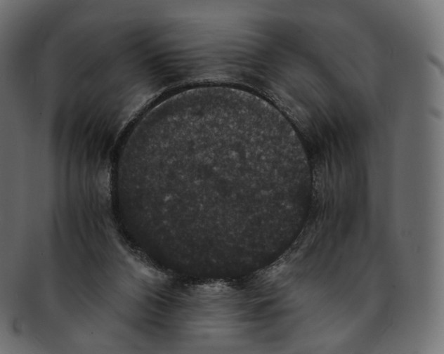 X0000091940112200710031125