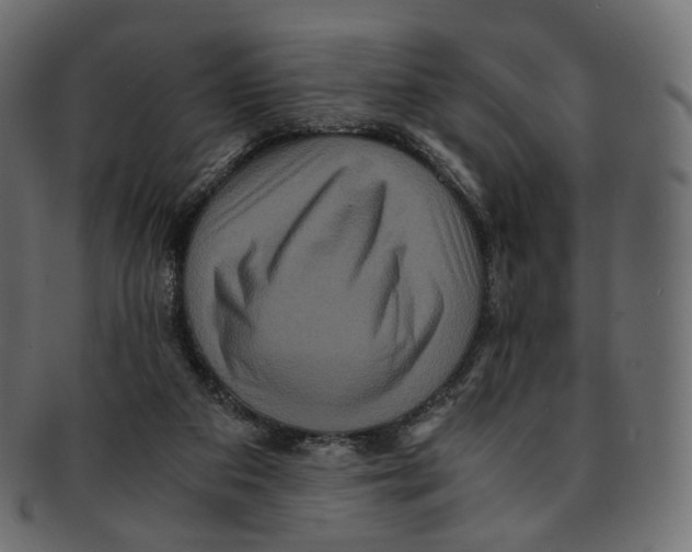 X0000091940113200710031125