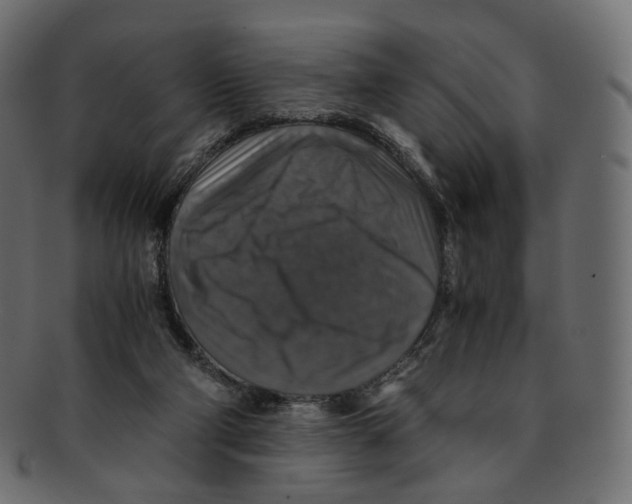 X0000091940114200710031125