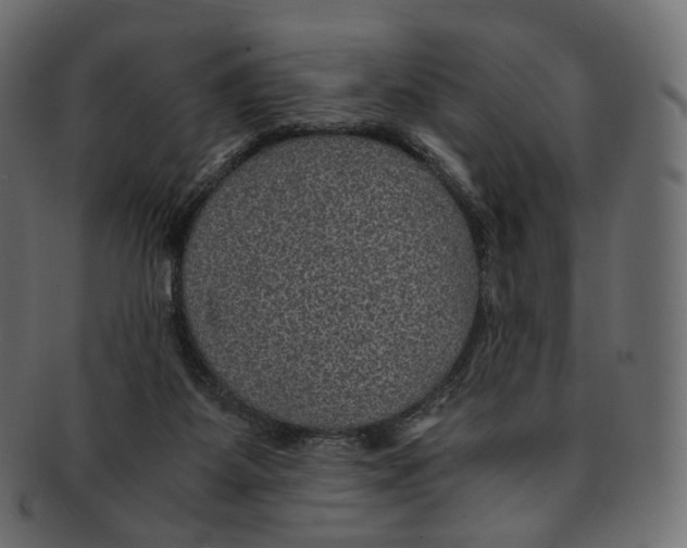 X0000091940115200710031125