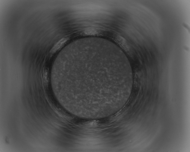 X0000091940116200710031125