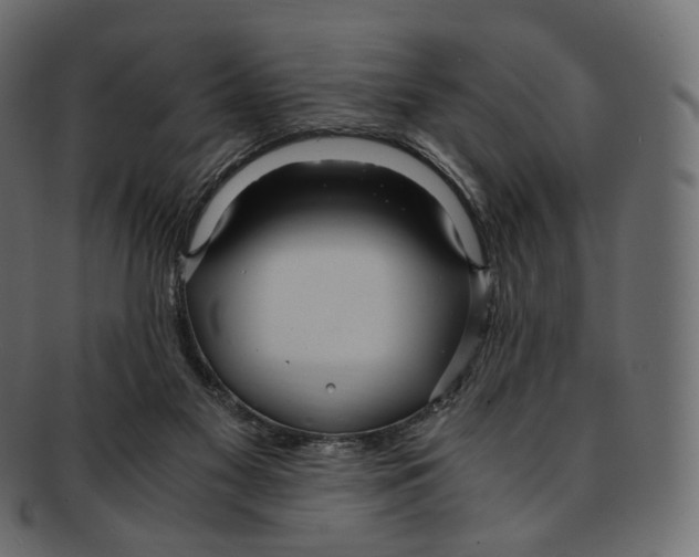 X0000091940117200710031125