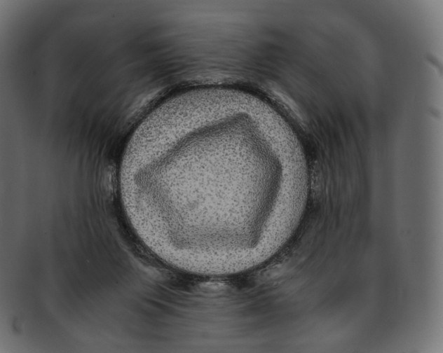 X0000091940119200710031125