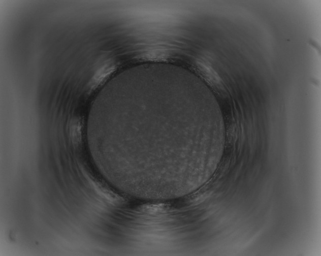 X0000091940120200710031125