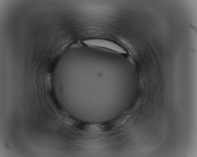 X0000091940121200710031125