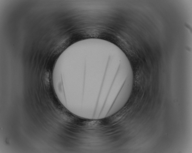 X0000091940122200710031125