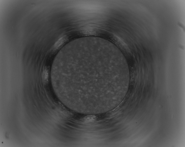 X0000091940124200710031125