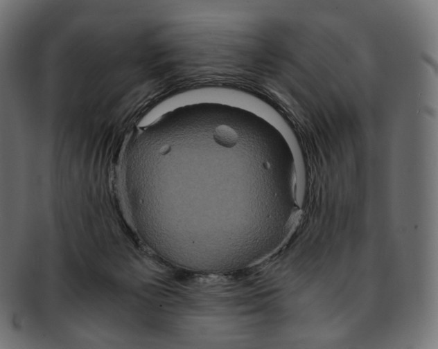 X0000091940125200710031125