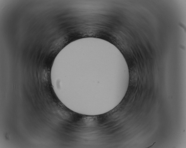 X0000091940126200710031124