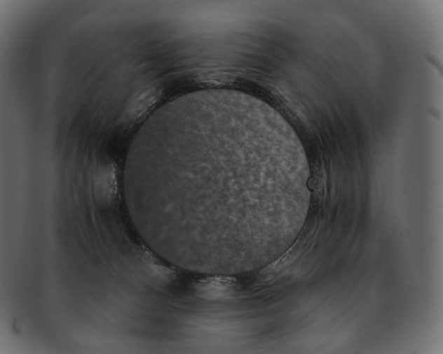 X0000091940128200710031124