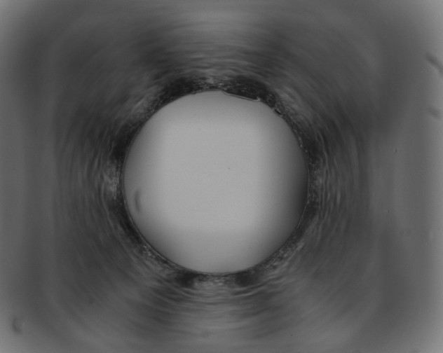 X0000091940129200710031124