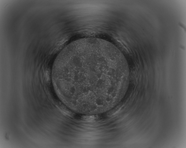 X0000091940131200710031124