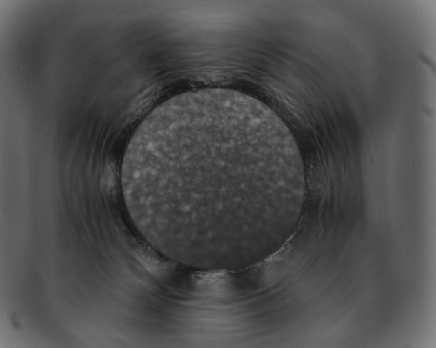 X0000091940132200710031124