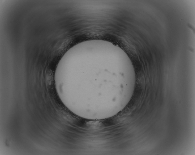 X0000091940133200710031124