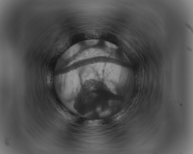 X0000091940134200710031124