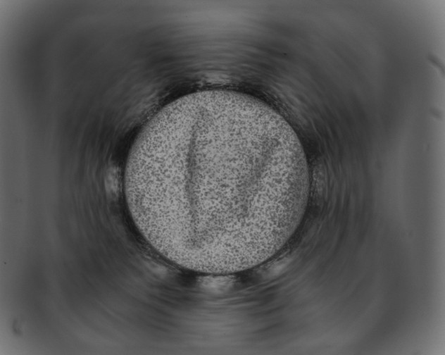 X0000091940135200710031124