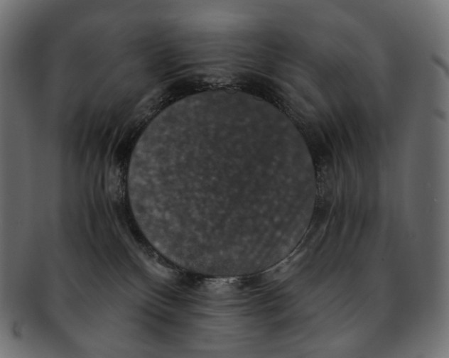 X0000091940136200710031124