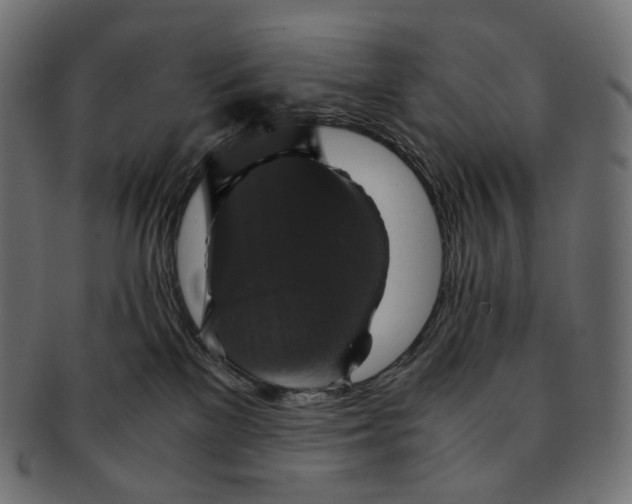 X0000091940137200710031124