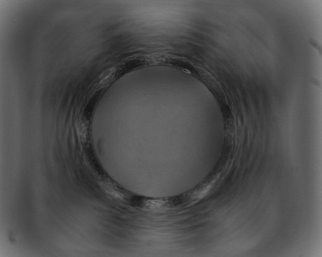 X0000091940139200710031124