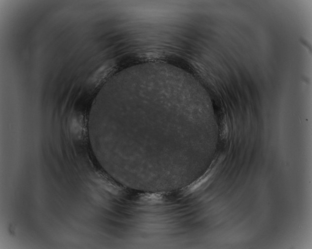 X0000091940140200710031124