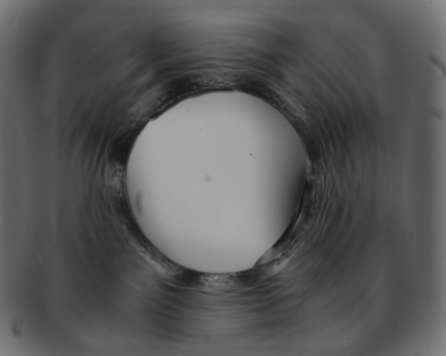 X0000091940141200710031124