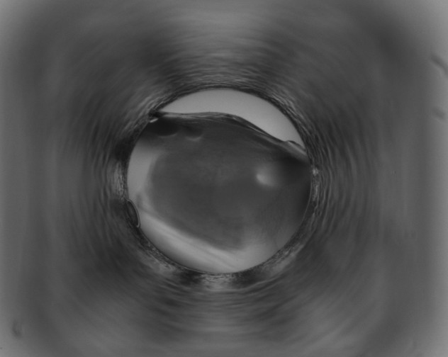 X0000091940143200710031124