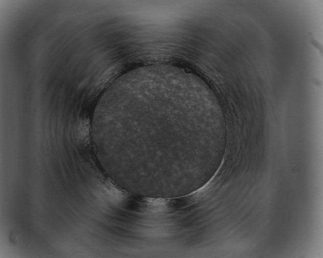 X0000091940144200710031124