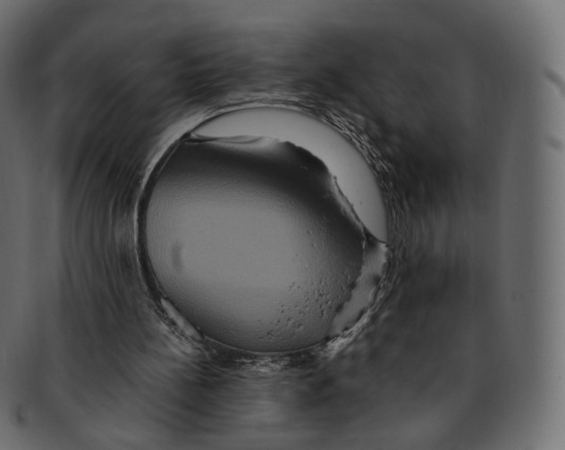 X0000091940148200710031124