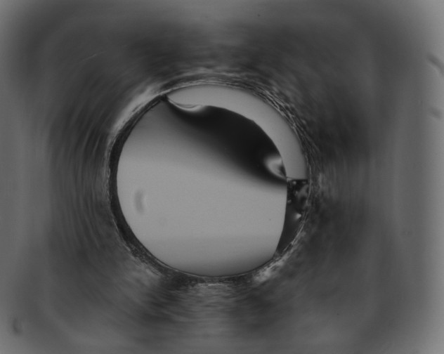 X0000091940150200710031124