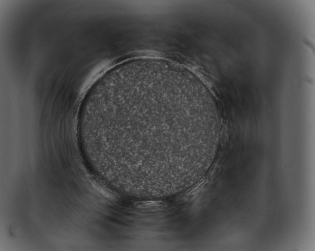 X0000091940151200710031124