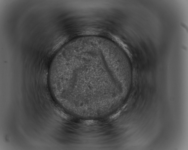 X0000091940153200710031124